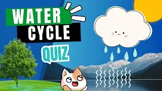 Water Cycle Quiz | Facts Quiz