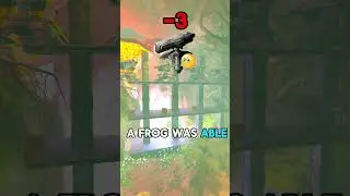 Can a Beelzebufo run a Wall in Ark Ascended? #ark #pvp #glitch #edit #funny #arksurvivalevolved