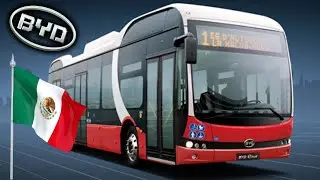 BYD поставила в Мексику первую партию из 20 полностью электрических автобусов