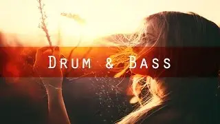 Rafau Etamski - Lush Dream [Drum & Bass I Nu Venture Records]