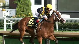 Covfefe Champion Three Year Old Filly