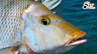 Epic Reef Fishing Adventure &ndash; Hooked on Action! Spangled Emperor & GT at Swain&rsquo;s Reef
