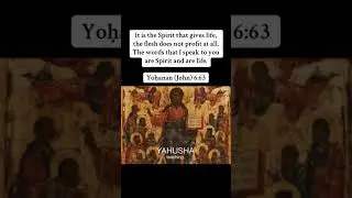 #YAHUSHA #YAHUAH #Elohim #Ruach #NewTestament #Son #Father #Grace #bibleverse #Heaven #youtubeshorts