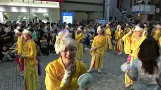 【４K】旭食品　高知よさこい２０２５　後夜祭　帯屋町会場