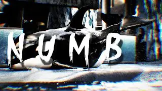 numb.