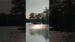 Morning sparkles on Indian Lake with a special guest ✨🦢💫