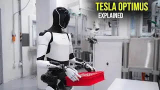 Tesla Optimus Humanoid Robot | Capabilities and Real-World Performance