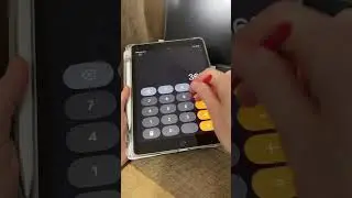 Nintendo DS Stylus on an iPad?