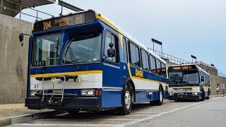 DASH Alexandria Transit Company Orion V Retirement Run