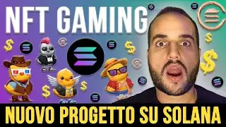 Nuova Crypto nel Metaverso di Solana - Sol Chicks Play to Earn NFT Game IDO