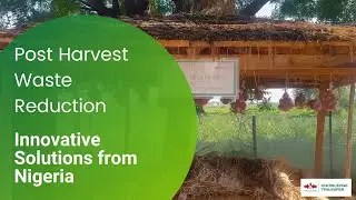 Managing Post-Harvest Crop Loss with Innovative Solutions from Nigeria &ndash; EWS-KT Nigeria