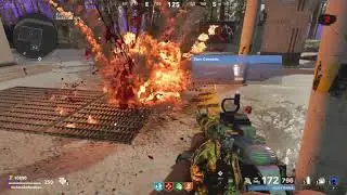 Zombie pet (COD Cold war)