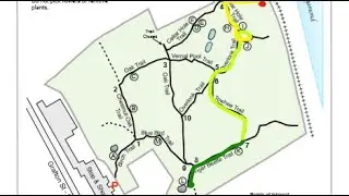 April 11, 2020 - Perkin's Farm Conservation Area walk South and East Trails