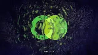 Andrewboy - In the Dark I Area Verde Recordings