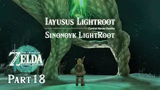 [2K 60fps] The Legend of Zelda TOTK Detailed Walkthrough - Part 18 Iayusus, Sinonoyk Lightroot
