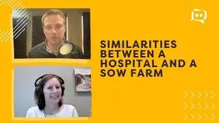 Similarities between a hospital and a sow farm, with Matthew Rooda