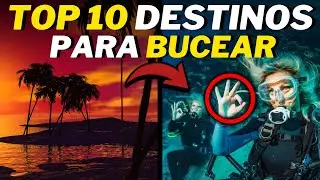 10 Destinos Con El Mejor Buceo Del Mundo &iexcl;Experiencias &Uacute;nicas!