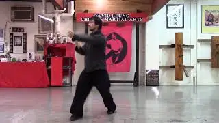 Wing Chun 20 Min Drills