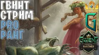Gwent | Тестируем новую имбу! Опросы по СБ уже в ТГ