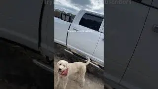 21 Dodge Ram 3500 6.7 Cummins mods vid on my channel #fypシ #2025 #ram #cummins #diy #home #christmas