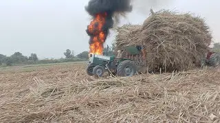 MF 385 Green tractor first time power performance on sugar cane trali