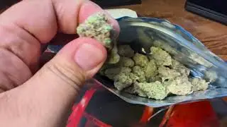 THCA SMALL BUDS Maui Waui Oz Review!!