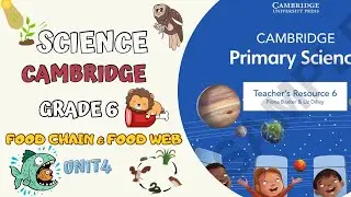  🌱📚 IGCSE Grade 6 | Unit 4 | Food Chain & Food Web | Cambridge Science 2026