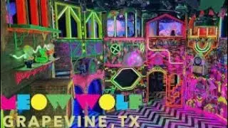Venturing through Meow Wolf! 
