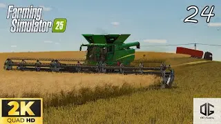 Buying sheep & harvesting sunflowers & rapeseed! FS25 Timelapse l XONE/PC #ep24