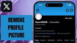 How to Remove Profile Picture on X (Twitter )