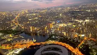 [4K] Magic Hour Landing in Haneda Airport over Central Tokyo