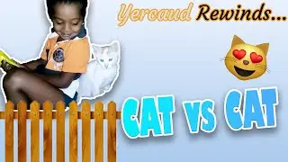 Yercaud Rewinds #03 || Cat vs Cat || Fun Trip || Family Picnic || Salem Tourist Places