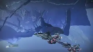 synchronized sparrow fly