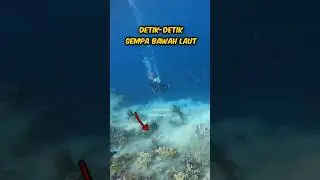 terekam kamera gempa bawah laut banda maluku #gempa #maluku #scubadiving
