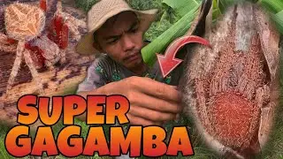 GAGAMBANG RED DEVIL SUPER MAMAW | SUPER GAGAMBA EPISODE 4