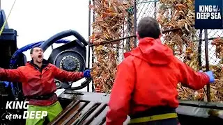 800 крабов в ОДНОЙ ловушке! Капитан Сиг побил рекорд Берингова моря после полного провала