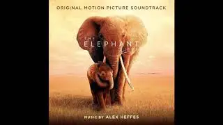 Satao | The Elephant Queen OST