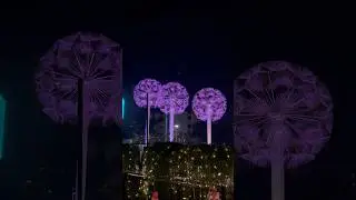 Flowershow Ahemedabad 2026||Glow garden#ahmedabadflowershow#gujarat #aesthetic#flowershow#riverfront