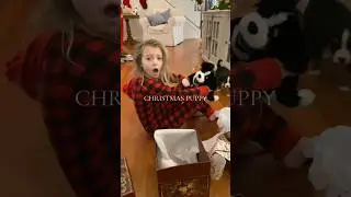 🐶 Puppy Gift for Kids 🎁| Emotional Moments 🥰 Pet Lovely Surprise 👶🏼 #Gift #Pets #Lovely
