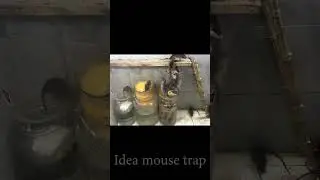 Effective balloon mouse trap / Water rat trap with plastic bottle