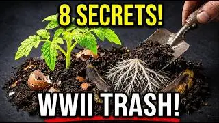 8 Compost Secrets From WWII That Corporations Prayed You'd Never Learn