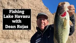Fishing Lake Havasu with Dean Rojas
