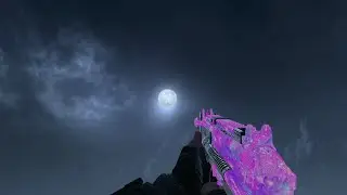 Black Ops 2 Custom Camo Infections