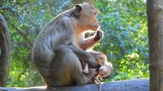 OMG What Happened With Baby? Mom Looks So Sad & Worry About Her Baby Cuz He Doesn't Move Just Sleep