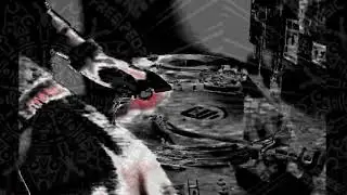 SmokeTribe23- STAY UP       FREETEKNO                  VINYL $ EVER