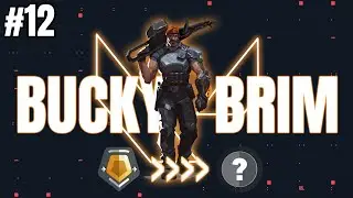 Crawling Up to Platinum with the Bucky | Nerfed Bucky Brim | Episode 12