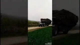 Sohi farm Ludhiana