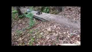 Trail run at Soldier Creek Park Florida   MTRC