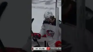 NHL Referee Funny Moment