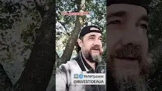 Что делать,#BTC ↘️
